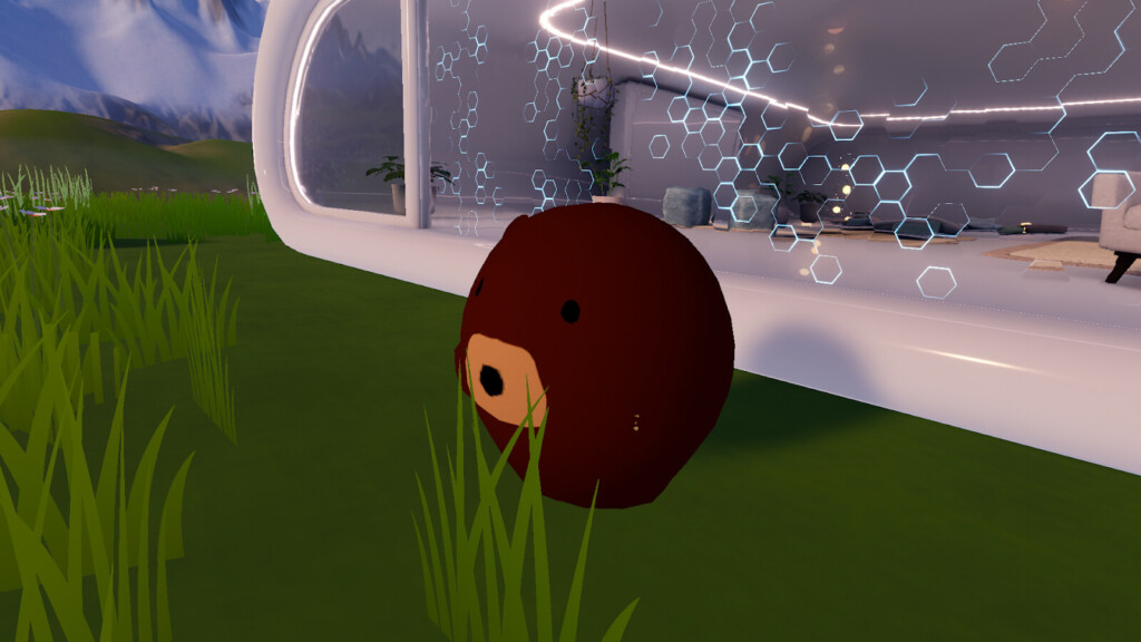 外に出て玉になった筆者（クマ）の写真