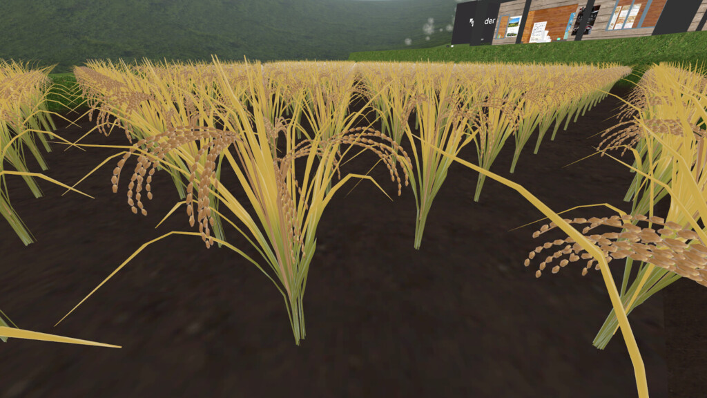 稲穂の米のアップ画像